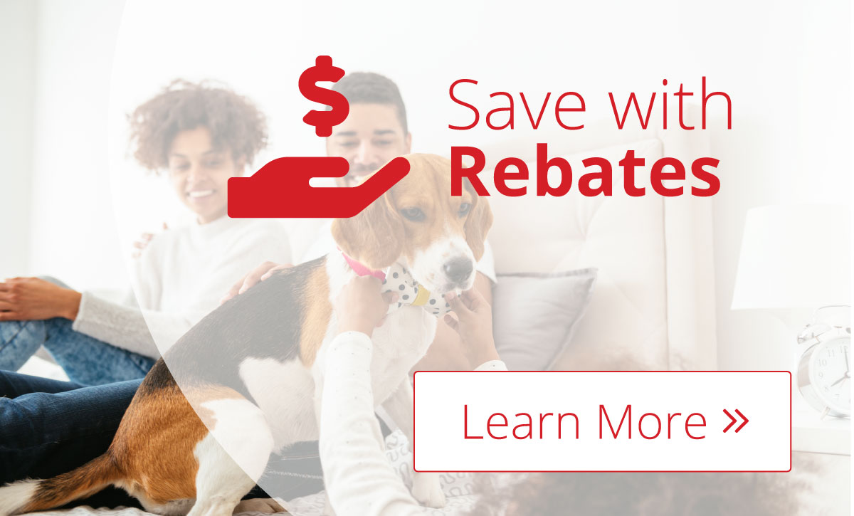 Explore Our Rebates